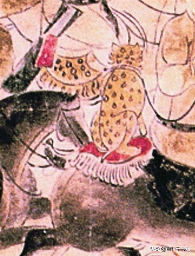 跑得再快也逃不过灭绝的威胁，浅谈“短跑之王”猎豹的历史与现状