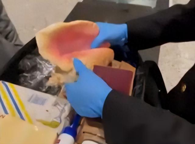 广州查获巨型女王凤凰螺，内藏珍珠曾卖2400万，至今不能人工养殖