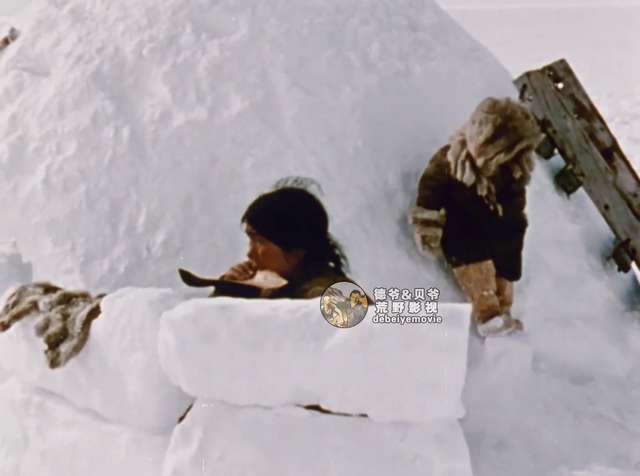 因纽特人一身皮草堪比世界各大奢侈品牌，他们怎么纯手工制作呢？