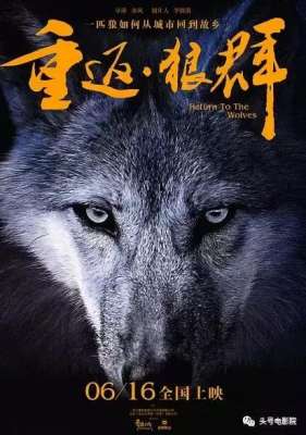 人兽AV(五星推荐这部国产纪录片：一个美女和一匹狼的真实故事)