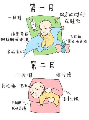 12月的奇迹(育儿指南：探索宝宝1-12月的成长奇迹，新手妈妈不可错过)