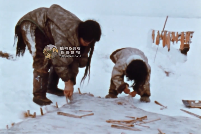 因纽特人一身皮草堪比世界各大奢侈品牌，他们怎么纯手工制作呢？