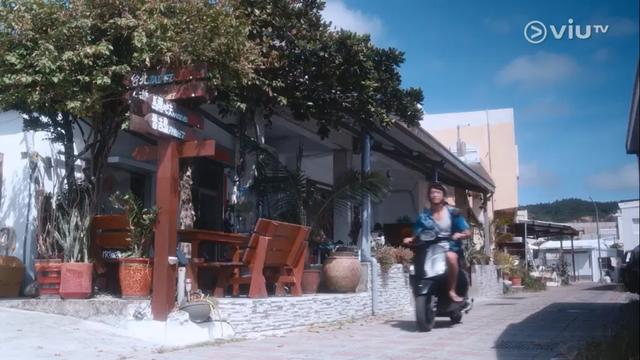 撕开现实社会遮羞布！三女被迫离港久住海岛，真实原因刺痛年轻人