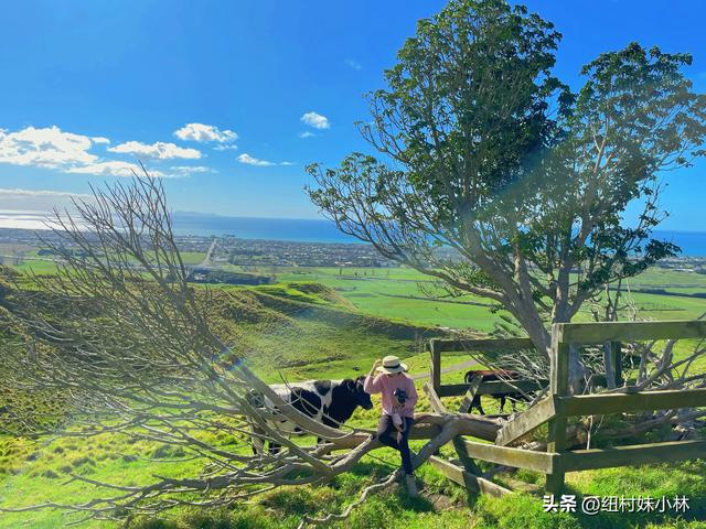 陶朗加，我的第二故乡，在这边生活怎么样