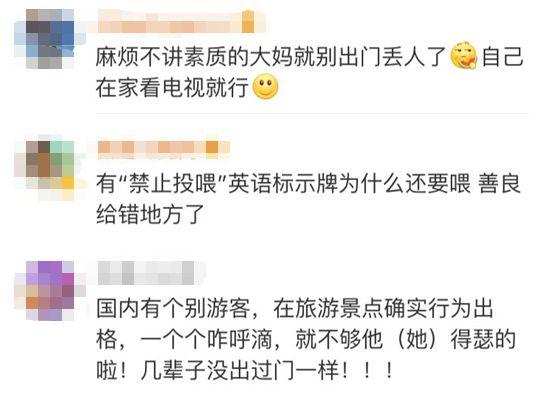 “中国大妈”又丢脸到国外了?真相是……