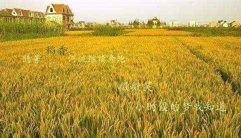 能在KTV唱得简单的三首歌