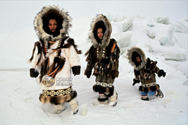 因纽特人一身皮草堪比世界各大奢侈品牌，他们怎么纯手工制作呢？