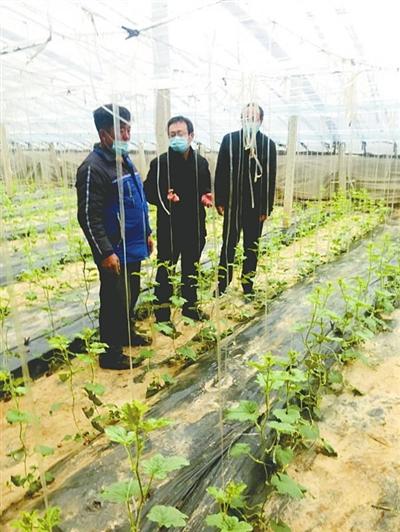 加班加点，早点儿把项目建成