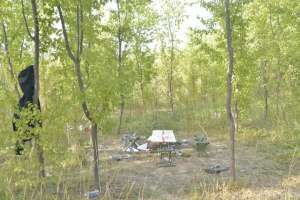 做坏事(8人在小树林里干坏事，全部被抓)