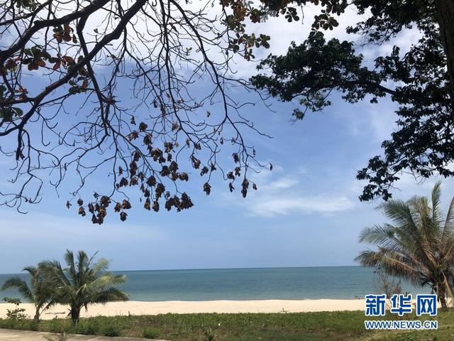 那空是贪玛叻：泰南二线城市的寂落与丰饶