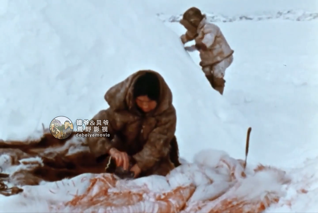 因纽特人一身皮草堪比世界各大奢侈品牌，他们怎么纯手工制作呢？