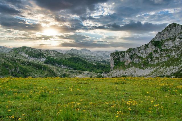 为什么情侣约会都喜欢去电影院？3个原因很现实