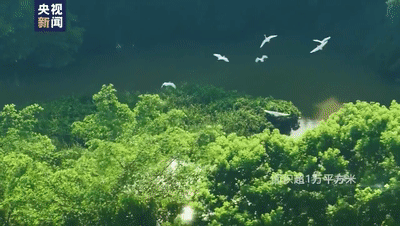 《狂飙》中的“京海市”，究竟在哪里？