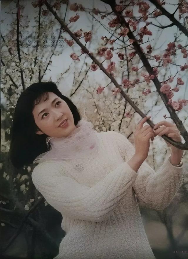 挂历欣赏（459）——1988年影视红星