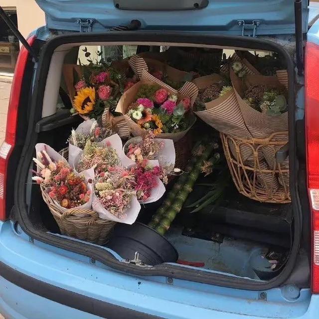 遇见·一些句子