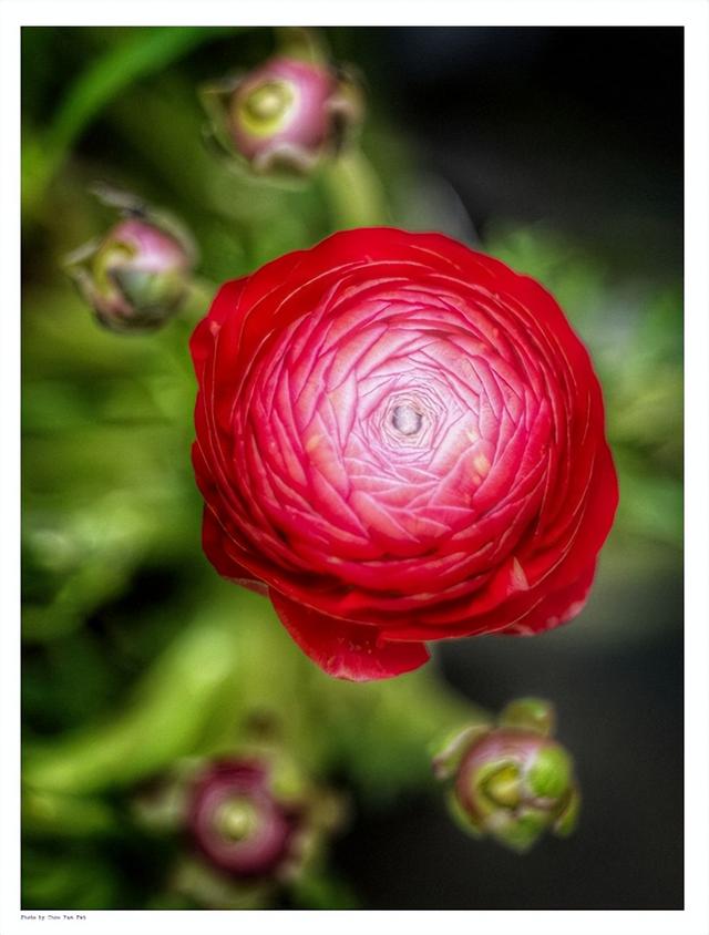 56亿身家的周润发再做善事，办个人展捐出收入，曾拍出297万天价