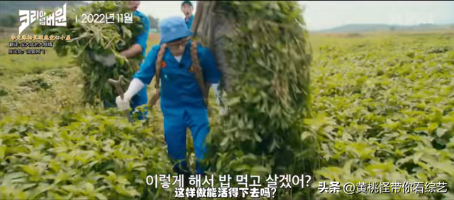 RM近况：刘在石全昭旻李光洙两档新节目！恋爱＋劳动，20岁齐刘海