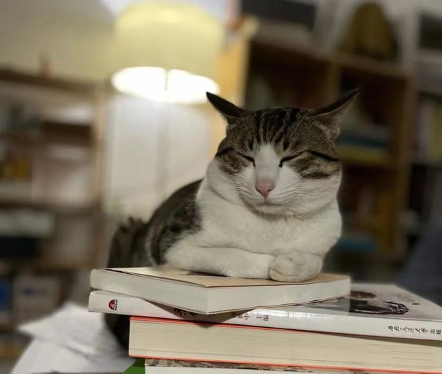 93年家庭主妇低欲望生活:4年不工作,穿10元衣服,每月花销1500