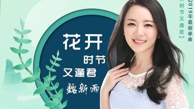 魏新雨 :一个集美丽与才华于一身的女人 她的歌声是不是超级迷人呀