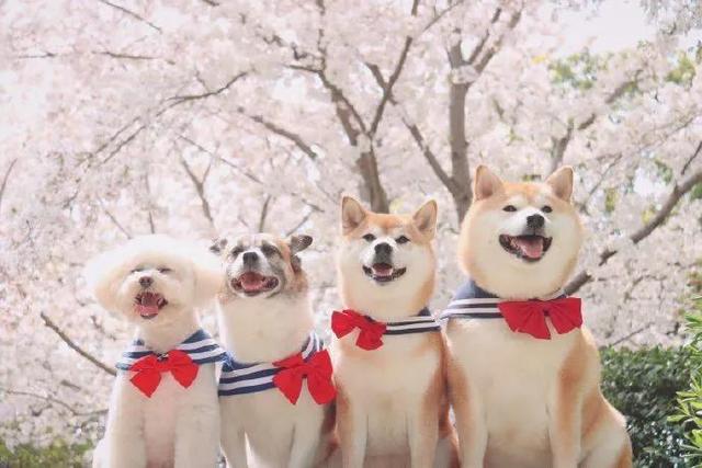 遇见·一些句子