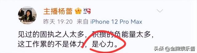 新老娘舅铁三角现状！杨蕾独撑大局，柏万青搞直播，房海燕没工作