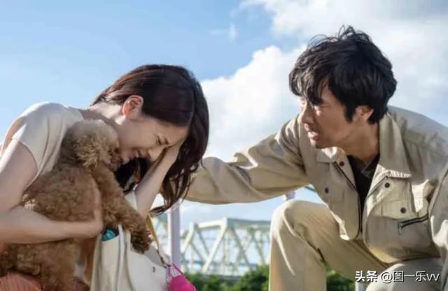 《金鱼妻》出轨是由于找不到灵魂伴侣？