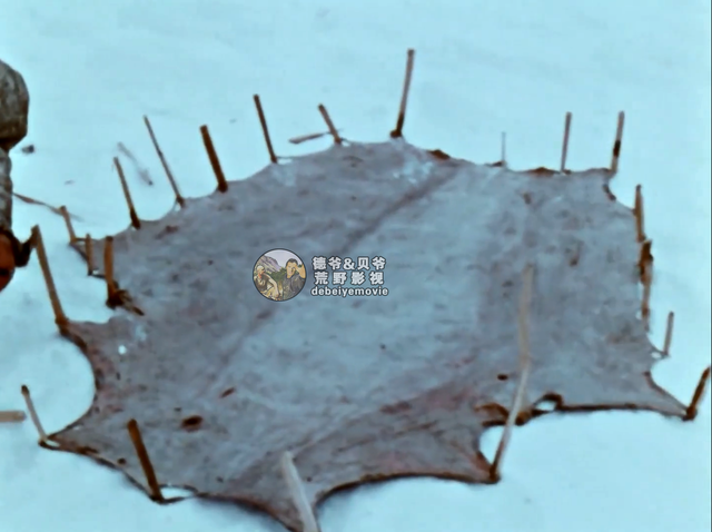 因纽特人一身皮草堪比世界各大奢侈品牌，他们怎么纯手工制作呢？