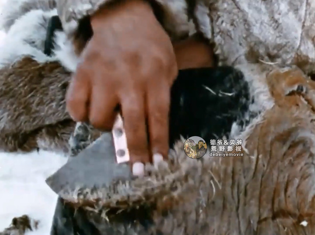 因纽特人一身皮草堪比世界各大奢侈品牌，他们怎么纯手工制作呢？