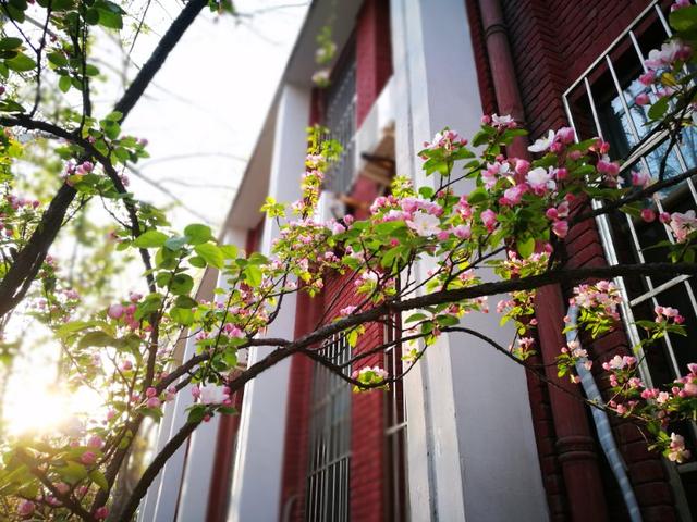 点赞!原创歌曲《中国花开》上线 唱响正能量