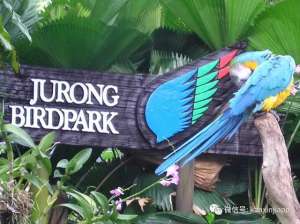 新加坡国宝(菲律宾的国宝被寄养在新加坡，心酸还是荣耀？)