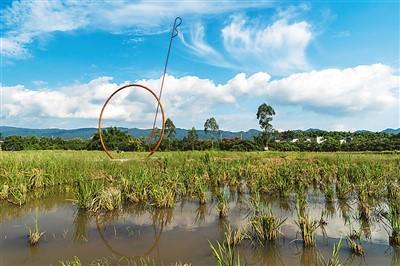 院落蝶变 乡村焕新彩