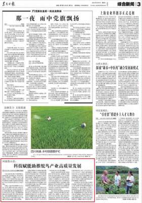 王大利(央媒观豫丨河南鲁山县：科技赋能助推鸵鸟产业高质量发展)