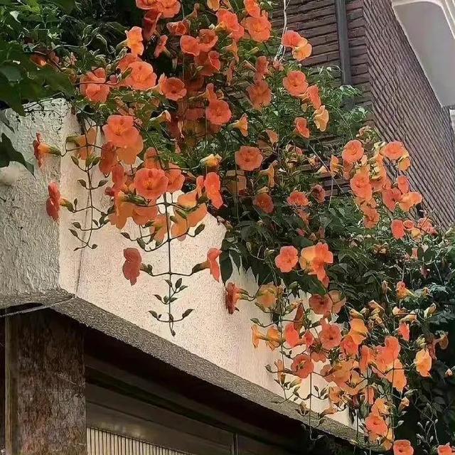 遇见·一些句子