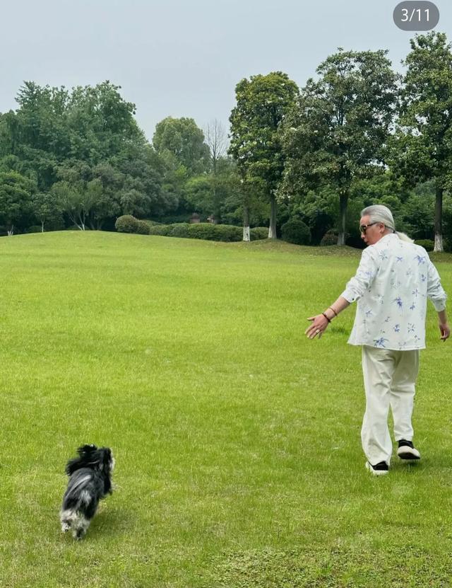好的，以下是我为您创作的文章： 今年我十九岁