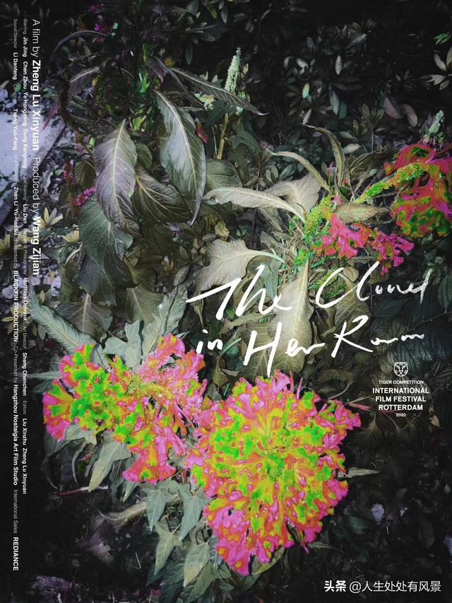 「电影」疏离式的崩塌美学：《她房间里的云》