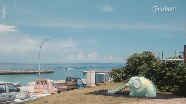 撕开现实社会遮羞布！三女被迫离港久住海岛，真实原因刺痛年轻人