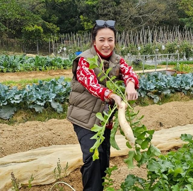 甘比好手段：钩织店打造贤妻良母人设，套牢刘銮雄独掌700亿家产