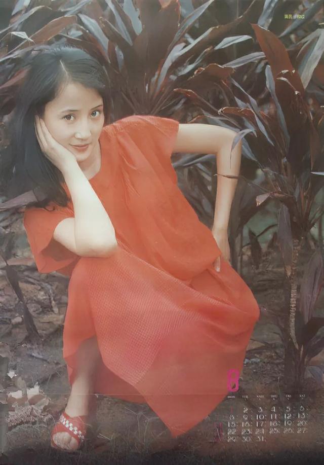 挂历欣赏（459）——1988年影视红星