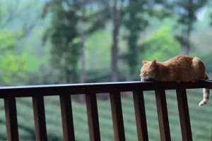 女人那点事(女人那点事)