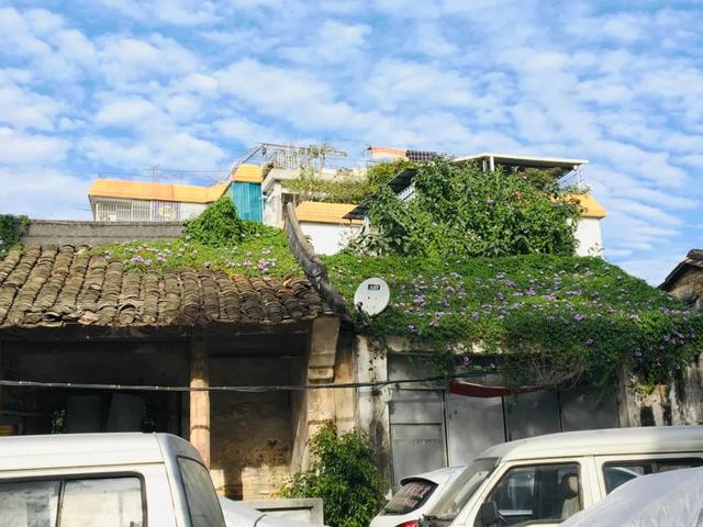 93年家庭主妇低欲望生活:4年不工作,穿10元衣服,每月花销1500