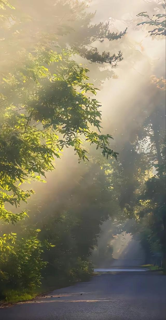 听《一程山路》