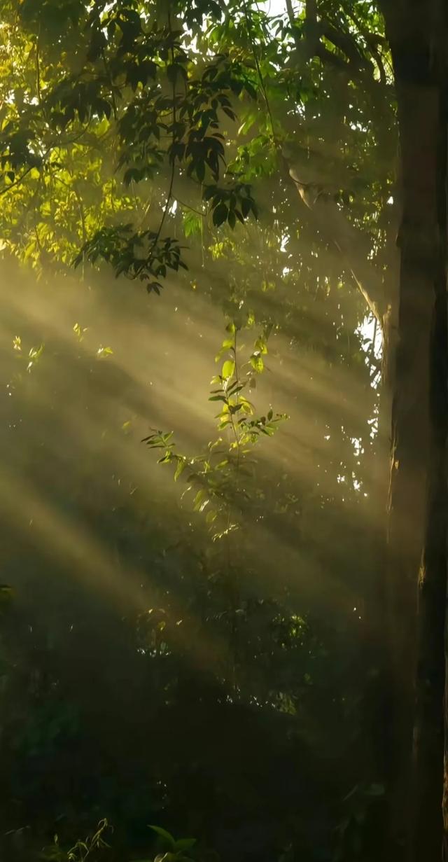 听《一程山路》