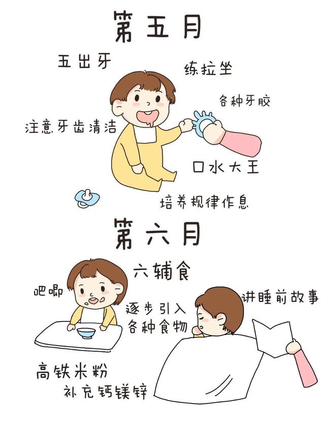 育儿指南：探索宝宝1-12月的成长奇迹，新手妈妈不可错过！