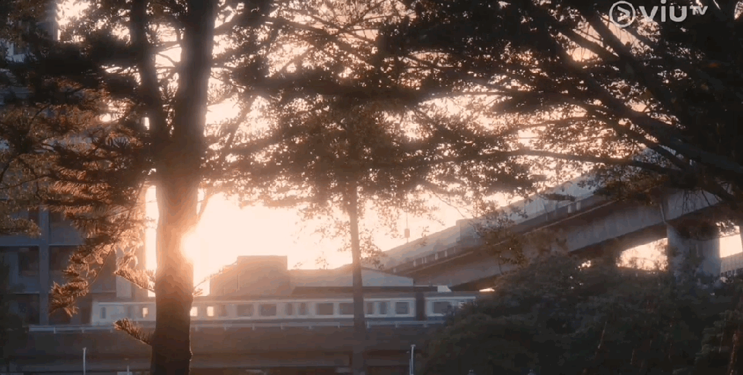 撕开现实社会遮羞布！三女被迫离港久住海岛，真实原因刺痛年轻人