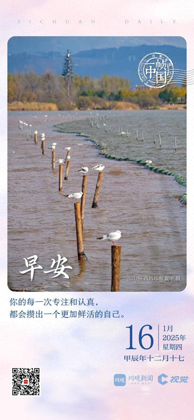 一帧中国丨邛海水上，点点白鸥（2025年1月16日）