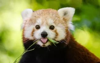 相见不如怀念,放不下的只有你自己