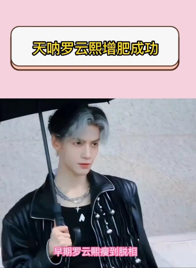 天呐!36岁罗云熙增肥成功,颜值回春太惊艳!不再是“病娇美人”