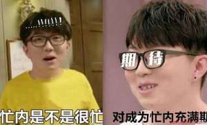 忙内(毛不易什么是忙内是什么意思什么梗 网友在线解答含有两层意思)