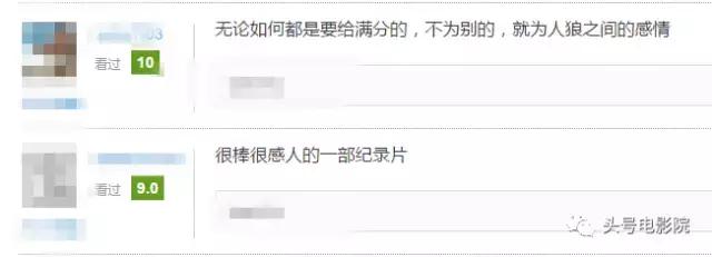 五星推荐这部国产纪录片：一个美女和一匹狼的真实故事