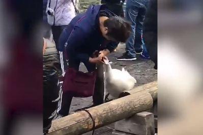 “中国大妈”又丢脸到国外了?真相是……